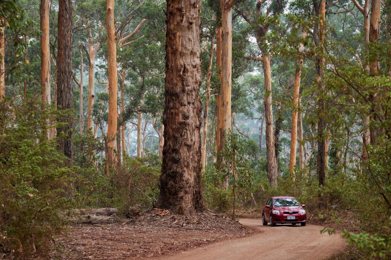 Rac Margaret River Nature Park Екстер'єр фото