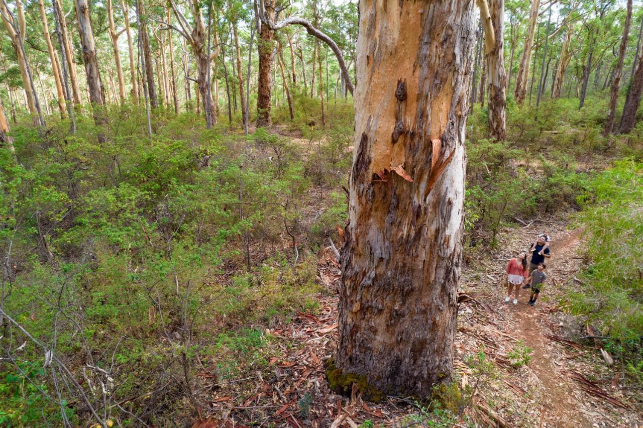 Rac Margaret River Nature Park Екстер'єр фото